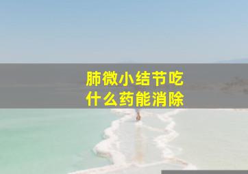 肺微小结节吃什么药能消除