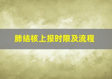 肺结核上报时限及流程