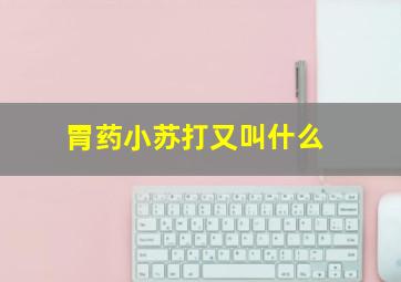 胃药小苏打又叫什么