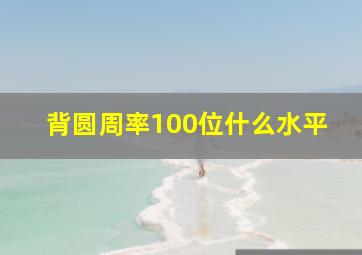 背圆周率100位什么水平