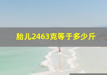 胎儿2463克等于多少斤