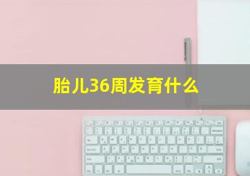 胎儿36周发育什么