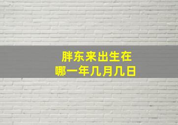 胖东来出生在哪一年几月几日