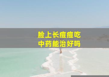 脸上长痘痘吃中药能治好吗