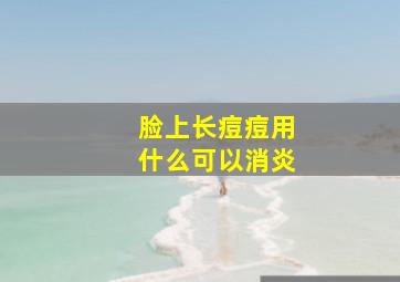 脸上长痘痘用什么可以消炎