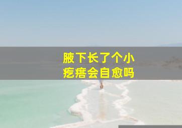 腋下长了个小疙瘩会自愈吗