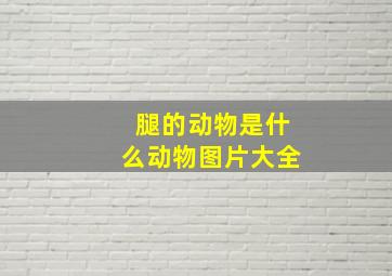 腿的动物是什么动物图片大全