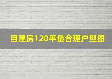 自建房120平最合理户型图