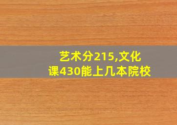 艺术分215,文化课430能上几本院校