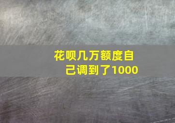 花呗几万额度自己调到了1000