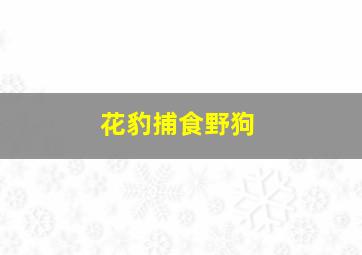 花豹捕食野狗