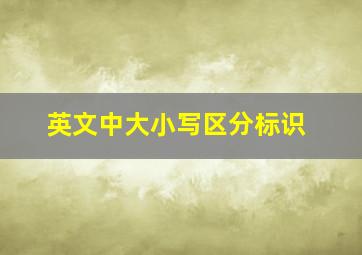 英文中大小写区分标识