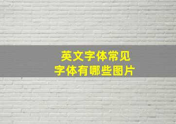 英文字体常见字体有哪些图片