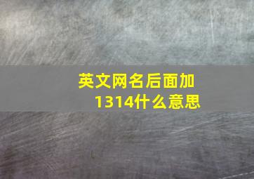 英文网名后面加1314什么意思