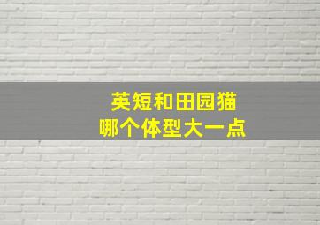 英短和田园猫哪个体型大一点