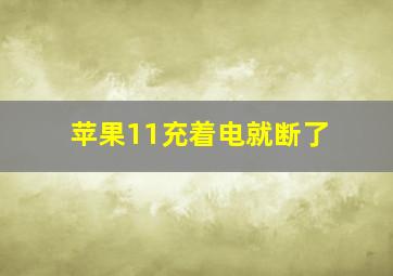 苹果11充着电就断了