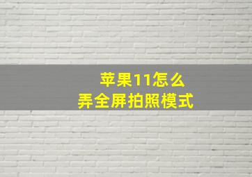 苹果11怎么弄全屏拍照模式