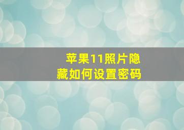 苹果11照片隐藏如何设置密码