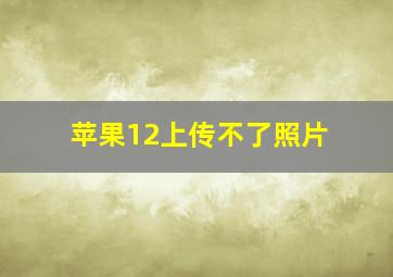 苹果12上传不了照片