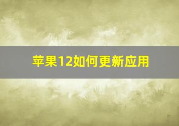 苹果12如何更新应用