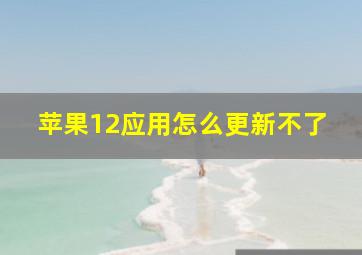 苹果12应用怎么更新不了