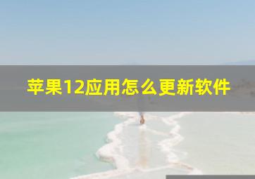 苹果12应用怎么更新软件