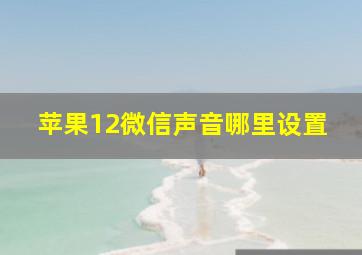 苹果12微信声音哪里设置