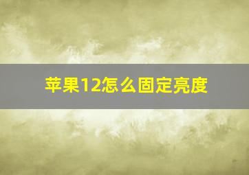 苹果12怎么固定亮度