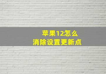 苹果12怎么消除设置更新点