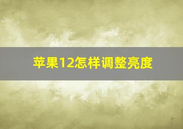 苹果12怎样调整亮度