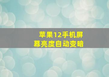 苹果12手机屏幕亮度自动变暗