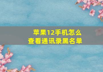 苹果12手机怎么查看通讯录黑名单