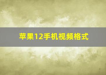 苹果12手机视频格式