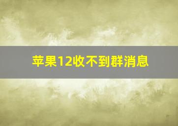 苹果12收不到群消息