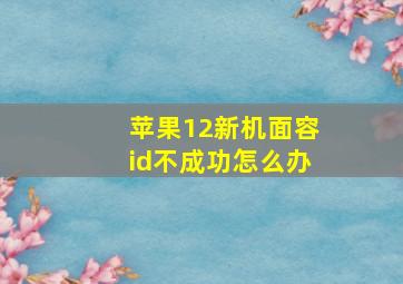 苹果12新机面容id不成功怎么办