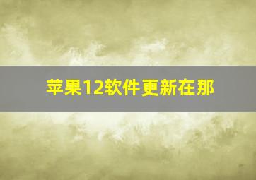 苹果12软件更新在那