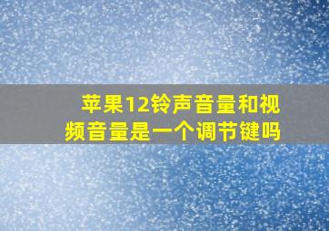 苹果12铃声音量和视频音量是一个调节键吗