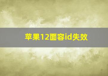 苹果12面容id失效