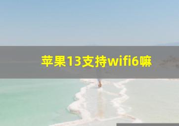 苹果13支持wifi6嘛