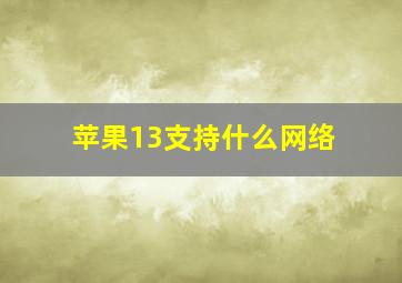 苹果13支持什么网络