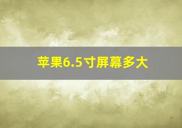 苹果6.5寸屏幕多大