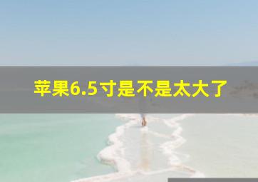 苹果6.5寸是不是太大了