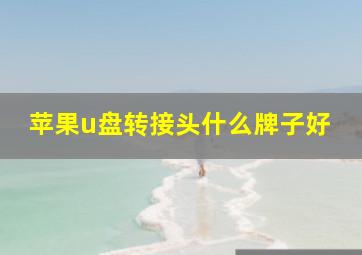 苹果u盘转接头什么牌子好