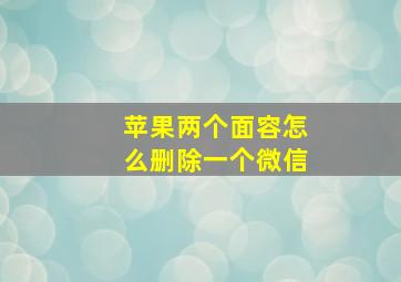 苹果两个面容怎么删除一个微信