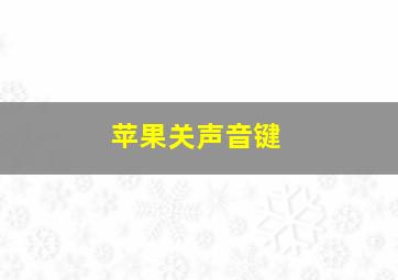 苹果关声音键