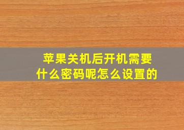 苹果关机后开机需要什么密码呢怎么设置的