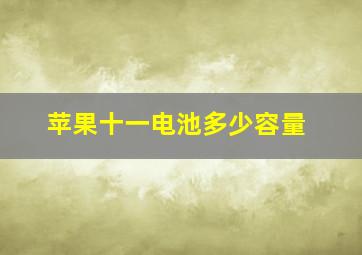 苹果十一电池多少容量