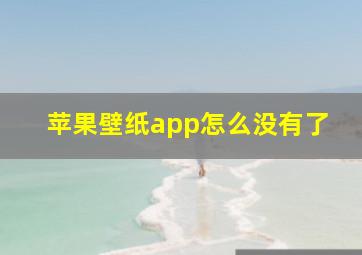 苹果壁纸app怎么没有了