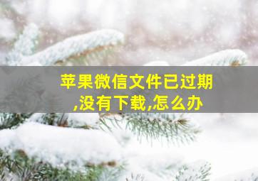 苹果微信文件已过期,没有下载,怎么办