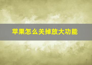 苹果怎么关掉放大功能